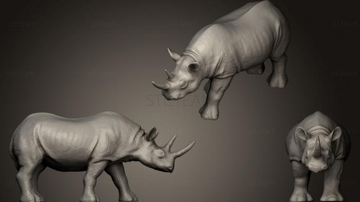 Статуэтки животных Rhinocerous 1